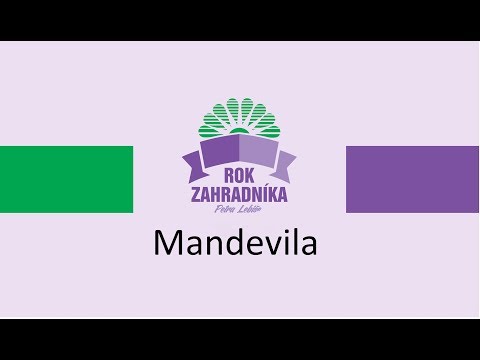 Mandevila